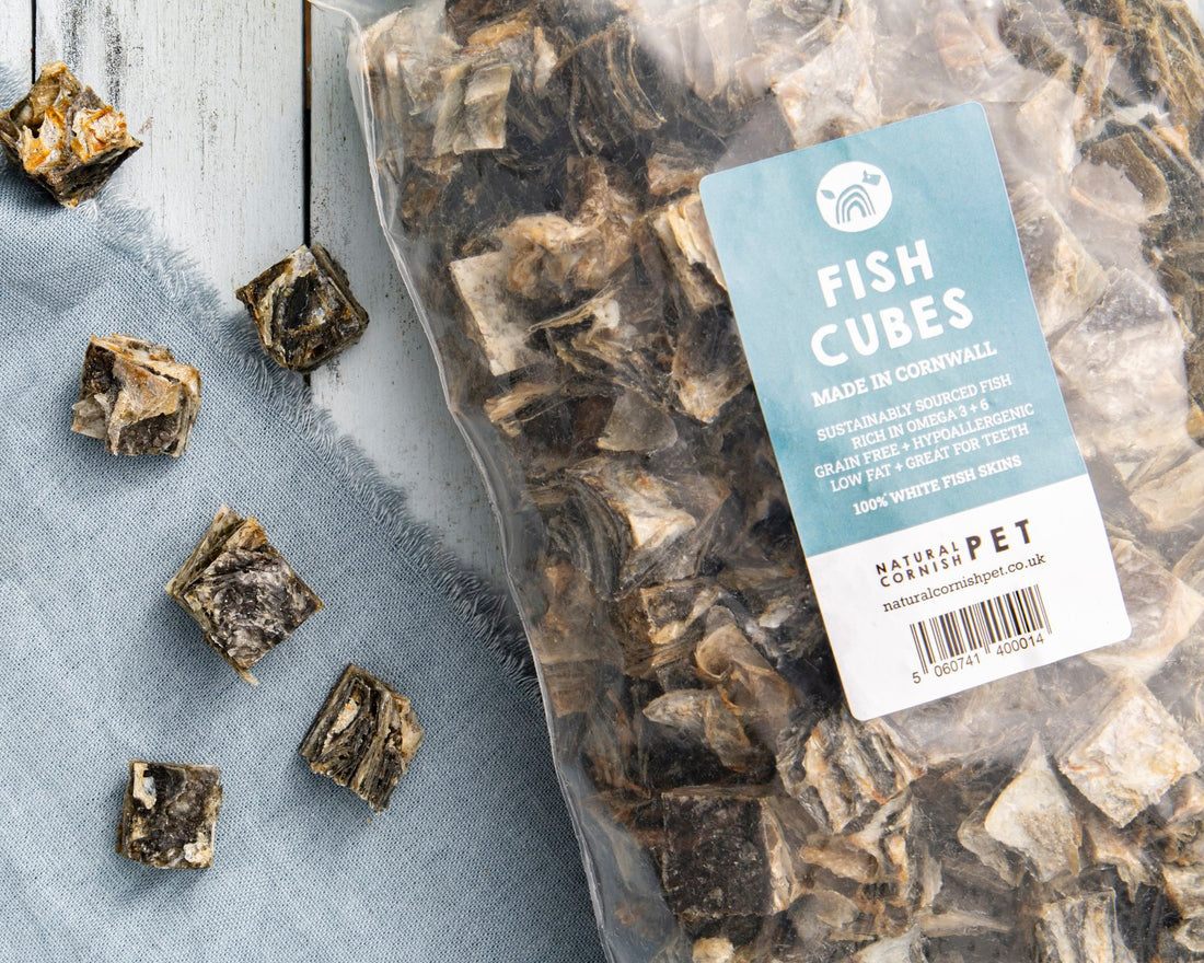 Fish Treats for Dogs