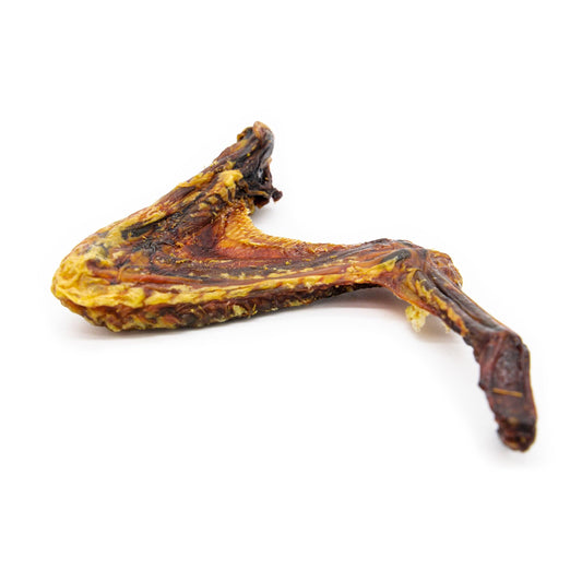 Duck Wing Chew for Dogs - Natural Dog Chews