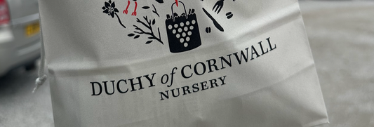 Duchy of Cornwall
