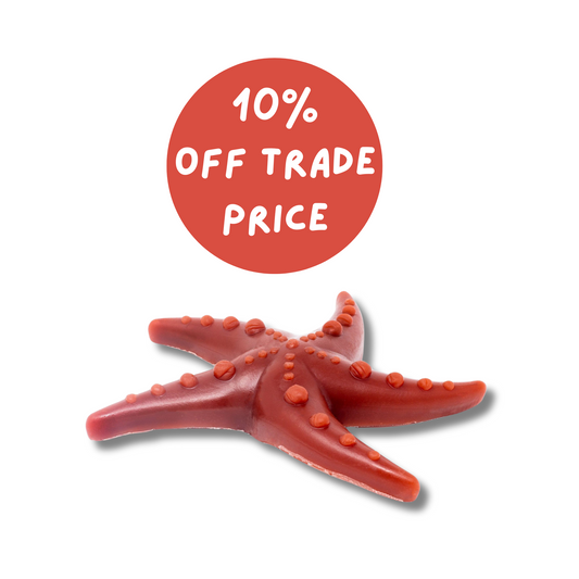Apple & Mint Starfish Vegetable Chew for Dogs | Natural dog chews