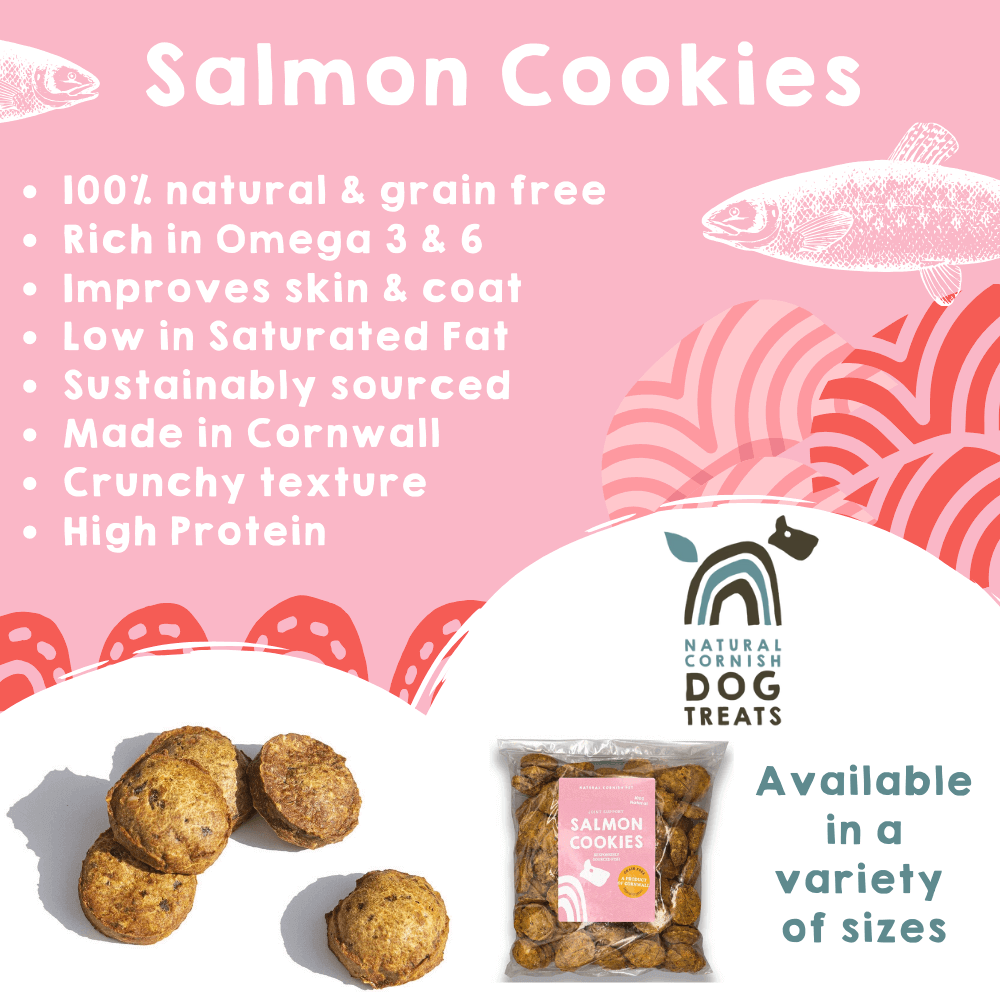 Cornish Salmon Cookies for Dogs