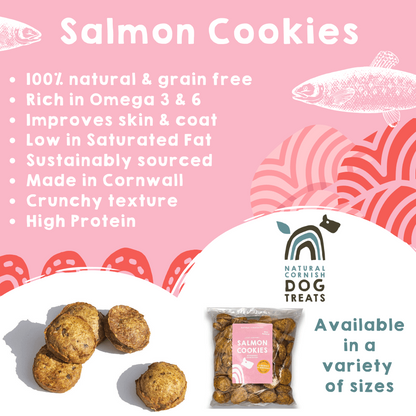 Cornish Salmon Cookies for Dogs