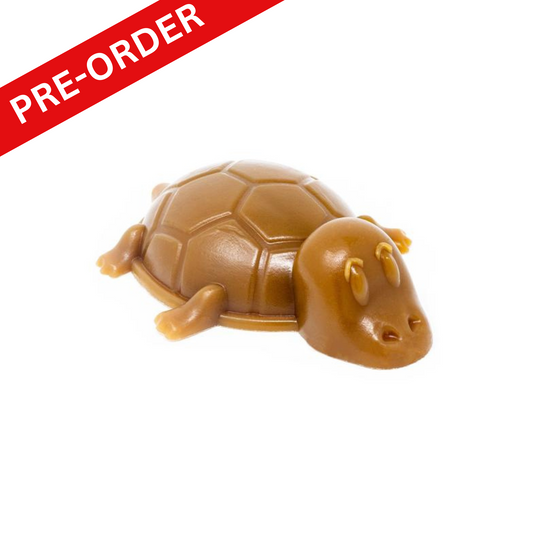 Brown turtle-shaped object with 'PRE-ORDER' text on a white background
