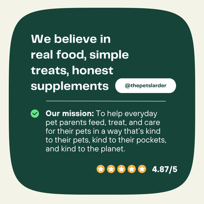 Dental Seaweed for Dogs: Plaque Removal - Dog Supplements