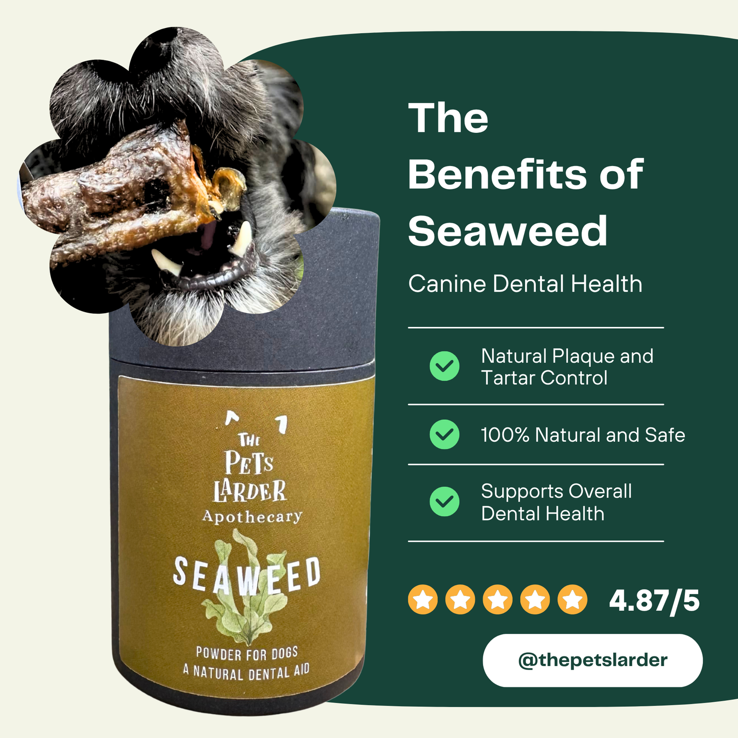 Dental Seaweed for Dogs: Plaque Removal - Dog Supplements